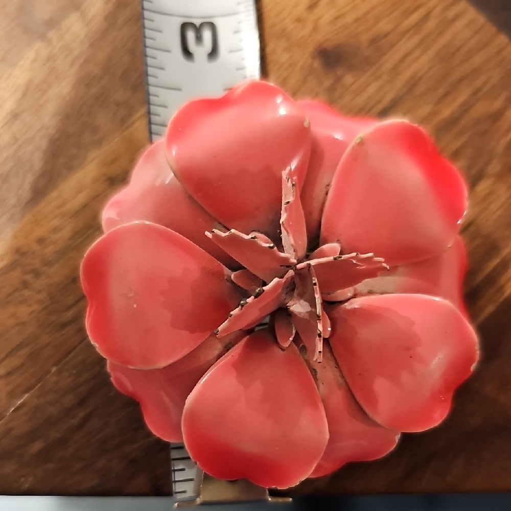 VINTAGE Coral Blossom Flower Pin Brooch Pink 50 Jewelry Retro Mid Century Modern